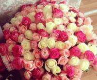 Piękne róże- chcę takie!