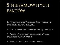 8 niesamowitych faktów :D