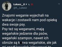 Tak to wygląda, gdy weganie mają psy