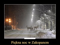 Pięknie