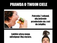 Prawda o Twoim ciele...