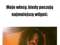 Moja włosy, kiedy poczują najmniejszą wilgoć XD