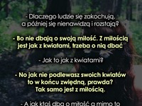 Miłość jest jak kwiat