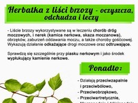 Herbatka z liści brzozy - oczyszcza, odchudza i leczy