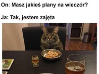 Jestem zajęta