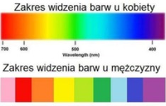 45 RÓŻNIC między kobietami a mężczyznami! Trzecia to 100% prawdy! ;D