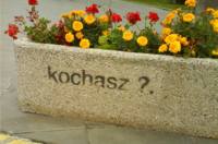 a Ty kochasz? ;)