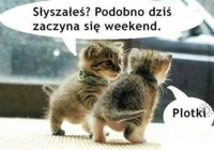 To nie plotki...