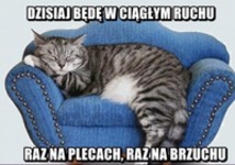 W ciągłym ruchu