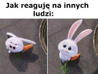 Jak reaguję na innych ludzi