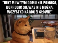 Wszystko na mojej głowie!