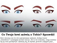 Co Twoje BRWI mówią o Tobie? Sprawdź!