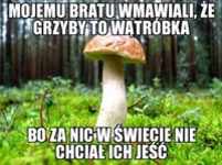 25 kłamstw, którymi karmili nas rodzice w dzieciństwie!