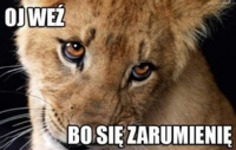 Zarumienie się, przestań..