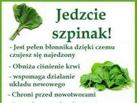 To, że szpinak jest zdrowy, wie prawie każdy, ale czy naprawdę wiecie dlaczego?