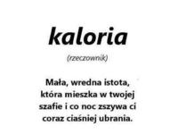 Znaczenie słowa kaloria