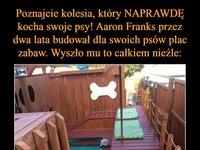 Aaro Franks przez 2 lata budował dla swoich psów plac zabaw. Wyszło mu to całkiem nieźle!