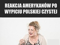 Zobacz REAKCJE OBCOKRAJOWCÓW po wypiciu POLSKIEJ WÓDKI! MOCNE :D