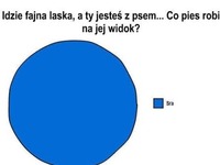 Idzie fajna laska, a Ty idziesz z psem... Co pies robi