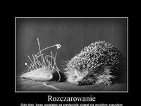 Rozczarowanie- tak to wygląda ;(