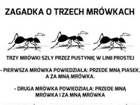Zobacz zagadkę o trzech mrówkach - dasz radę? :D