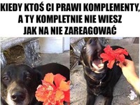 Kiedy ktoś Ci prawi komplementy