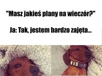 Jak widać ;P