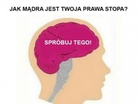 Sprawdź jak MĄDRA jest Twoja PRAWA STOPA ;D