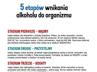 PIĘĆ ETAPÓW wnikania ALKOHOLU do organizmu! Musisz to zobaczyć