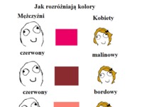 Jak rozróżniają kolory mężczyżni i kobiety, kilka przykładów. To prawda, haha! :D