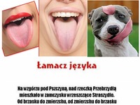 Łamacz języka. POWODZENIA!