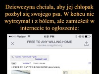 Dziewczyna chciała, aby jej chłopak pozbył się swojego psa. Po tym zamieścił w internecie takie ogłoszenie...