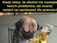 Alkohol nie rozwiąże Twoich problemów ;P