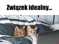 Idealny związek ;P