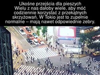 Tak wyglądają przejścia dla pieszych w Japonii. W Polsce by też się przydały takie?