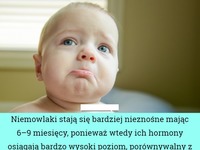 Okres "mini dojrzewania" u niemowlaka... Co to jest?