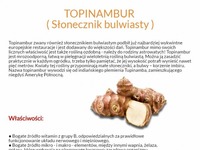 Topinambur - co to jest i jakie ma właściwości?