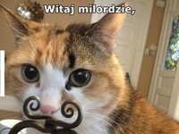 Jak tam zdrówko?
