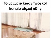 Mój kot więcej ćwiczy ;D