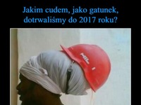 Jakim cudem dotrwaliśmy do 2017r? BEKA!