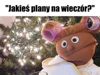 Plany na wieczór