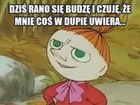 Dziś rano się budzę i czuję, że mnie... ;D