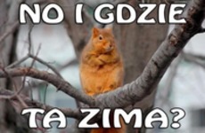 Gdzie ta zima