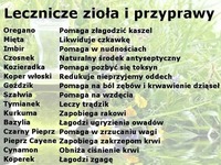 Lecznicze zioła i przyprawy. Wspaniałe właściwości!