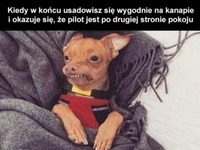 Kiedy w końcu usadowisz się wygodnie na kanapie