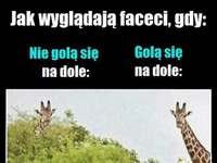 Jak wyglądają faceci