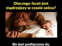 Dlaczego FACET jest mądrzejszy podczas SEXU!? HAHA POCISK ;D