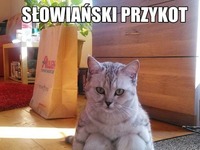 Przykot