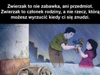 Zwierzę to nie zabawka!