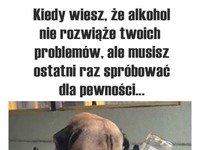 Może tym razem się uda